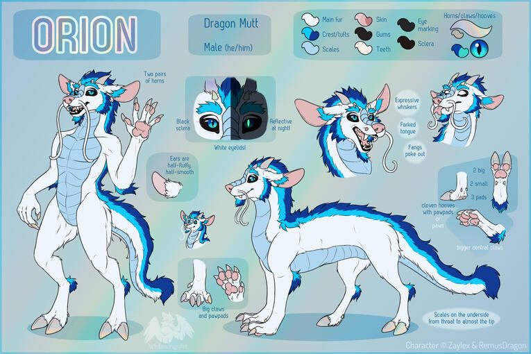 Reference - 2 fullbodies (anthro + feral), 2 portraits, 7 close-ups/details, 1 doodle
