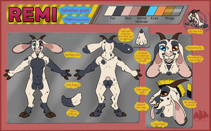 Reference - 2 fullbodies (front/back), 2 portraits, 2 small close-ups, 1 doodle
